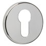 Polished Nickel