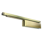 Polished Brass