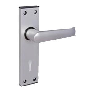 Anodised Silver Lever Lock