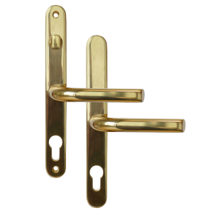 Polished Gold