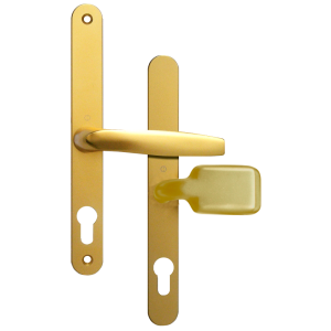 Polished Gold