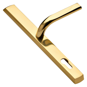 Polished Gold